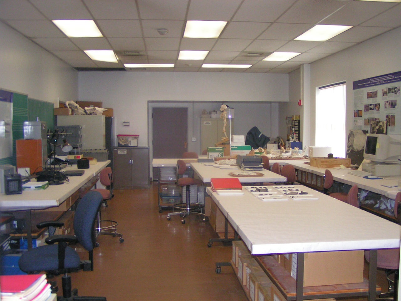 lab with artifacts out on the lab table. 