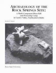 Archaeology of the Rock Springs Site cover