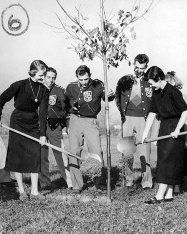 three men in athletic jackets and two women in dresses planting a tree
