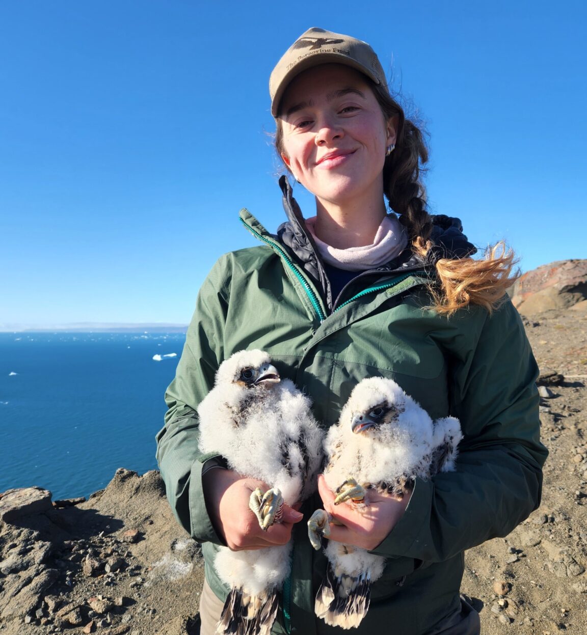 Sarah Scott holding two young falcons