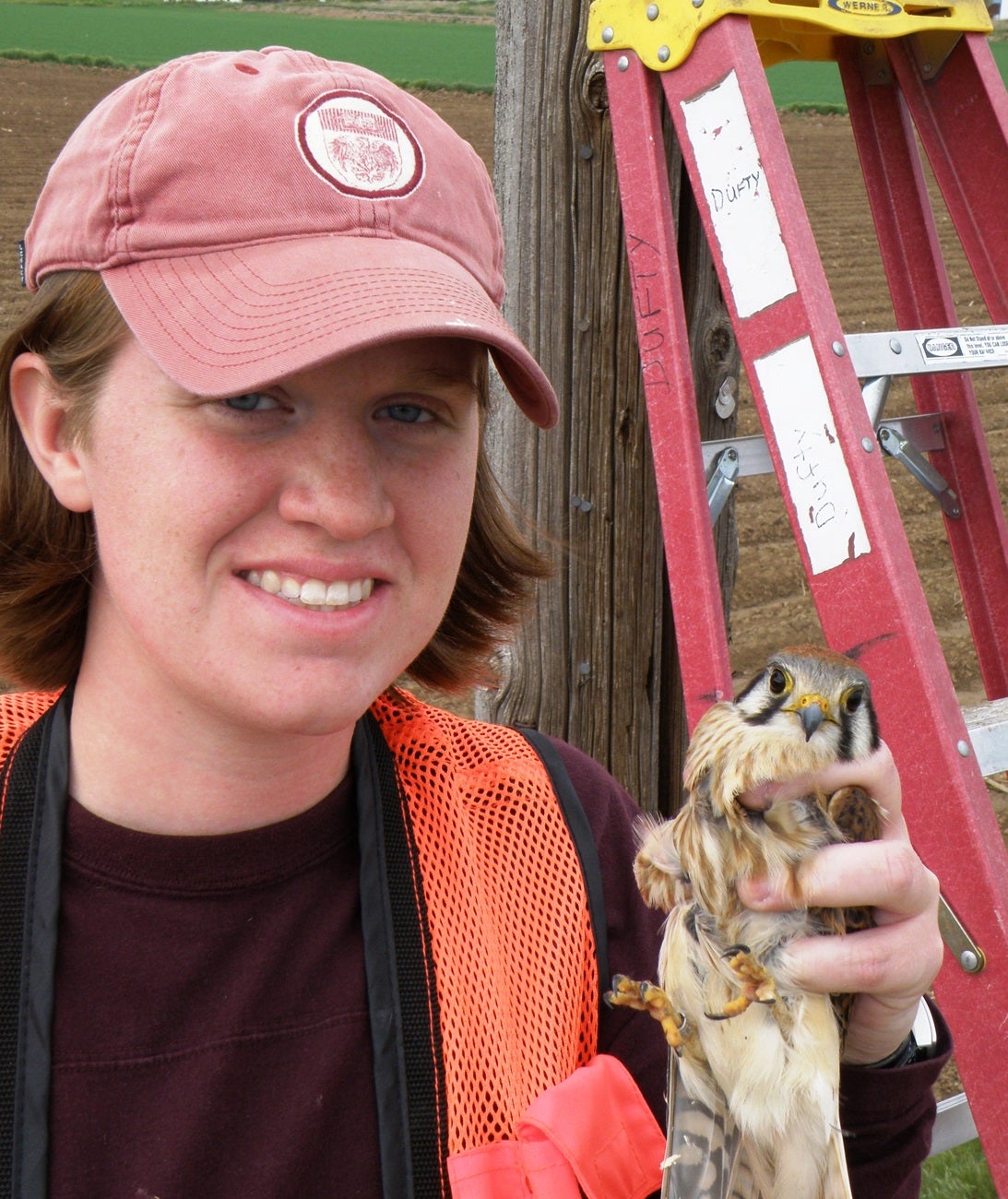 Erin Wonder holding an American Kestrel