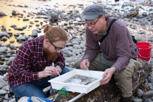 Merlin White and grad student doing fieldwork in a riverbed.
