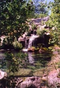 Water fall draining into a small pool surrounded by trees