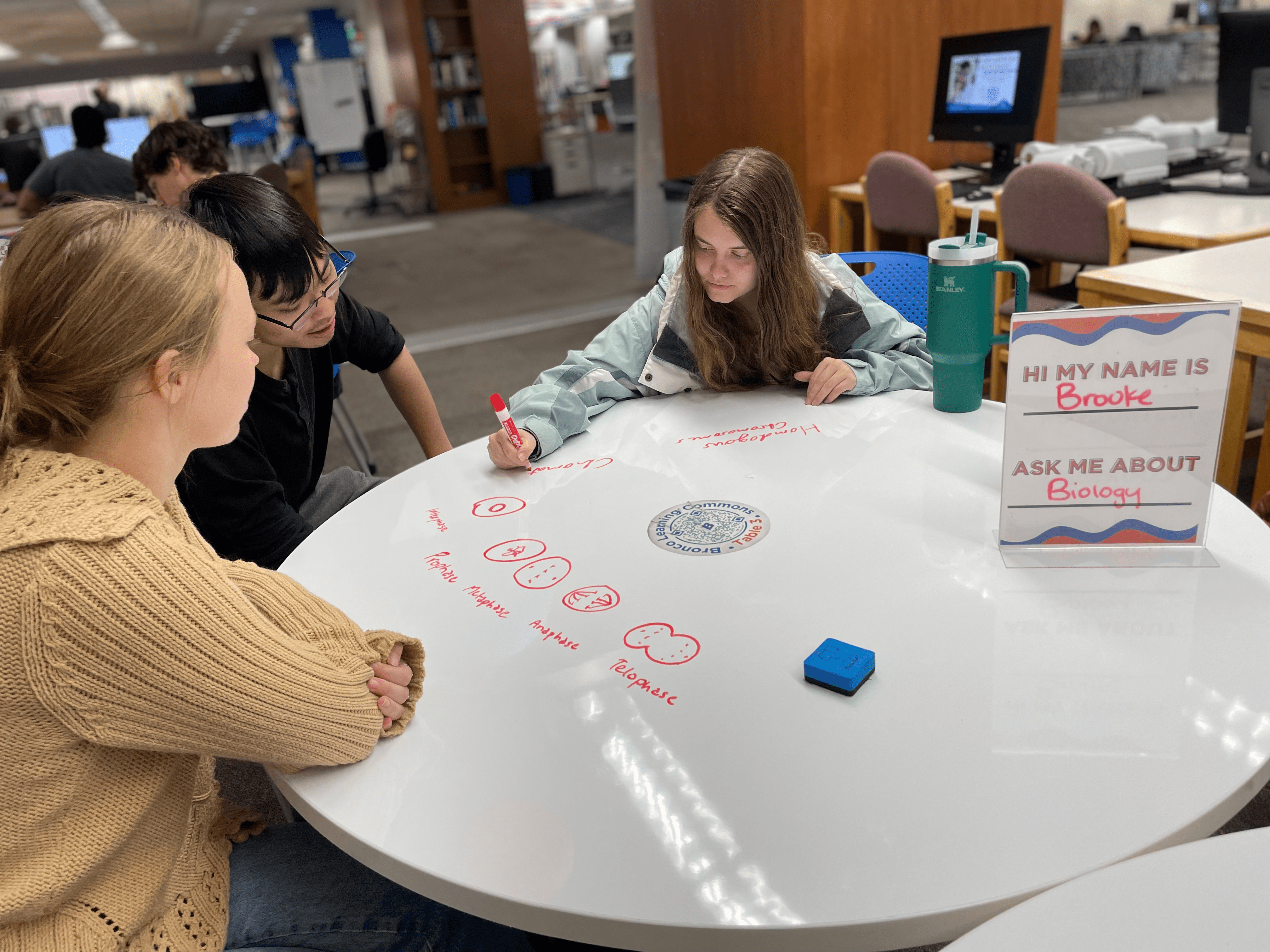 Tutor explaining cell division to students