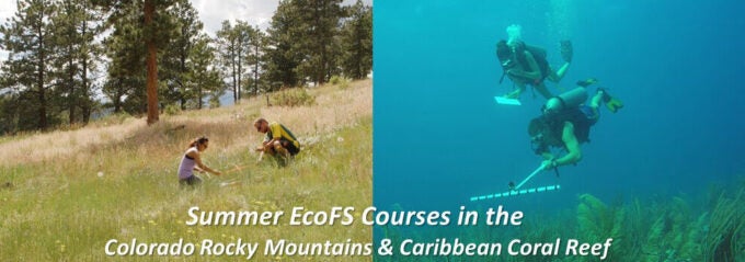 2 Images. First is 2 students on a grassy hillside. Second is 2 students underwater with scuba gear.