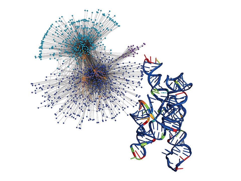 RNA enzymes