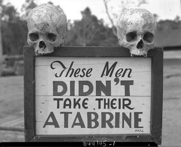 Two skulls perched on sign that reads These mend didn't take their atabrine, photo
