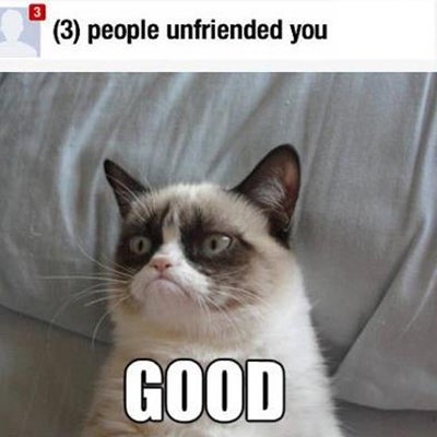 Grumpy Cat