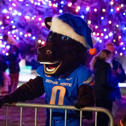 Buster bronco in Christmas hat with lights in background