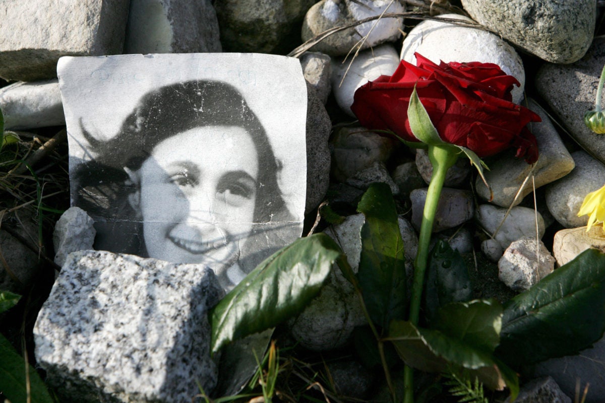 Printed photo of Anne Frank and red rose lay amongst rocks 