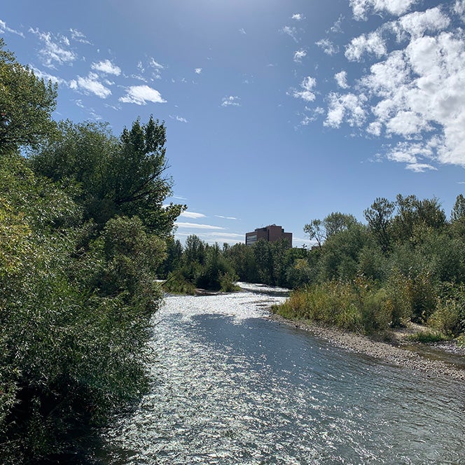 The Boise River in early fall with trees close on each side and the Education Building in the background
