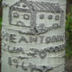 An Aspen arborglyph of a building, with Basque writing and the year 1967