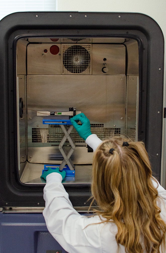 woman working on research