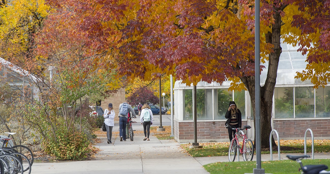 students on college campus during the fall with orange and yellow trees