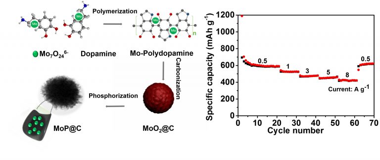 Nanocrystals Embedded in N‑Doped Carbon