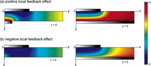 Local Feedback Mode of Scanning Electrochemical Microscopy