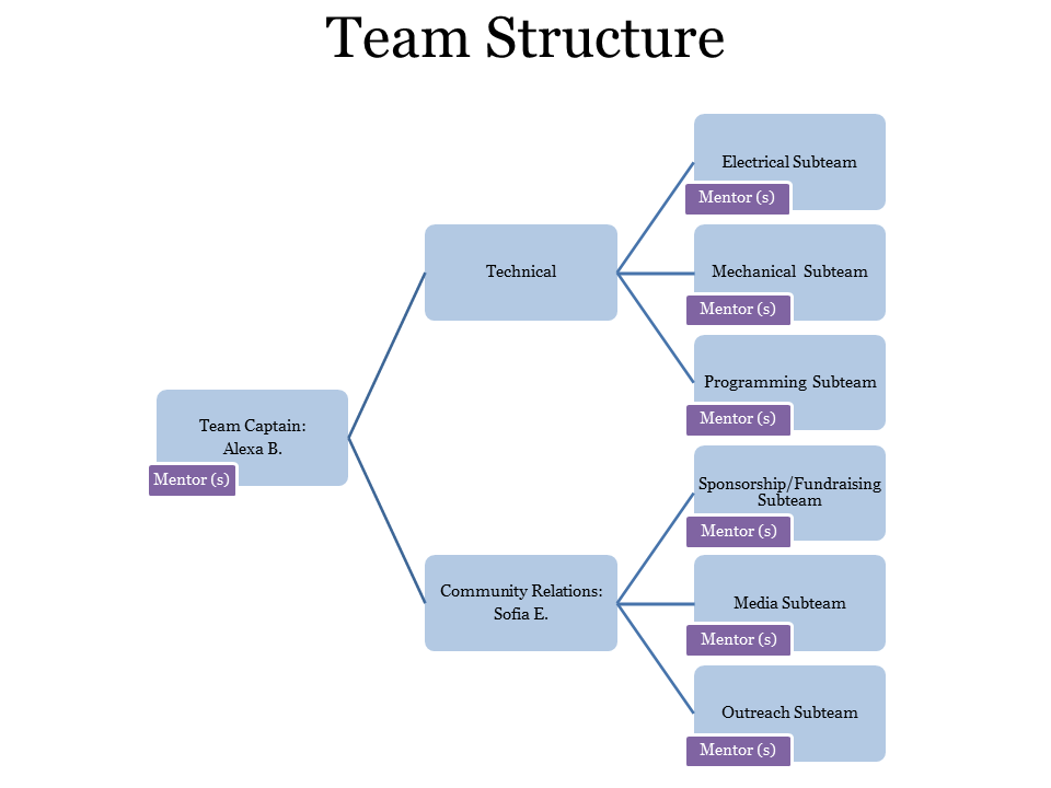 Team structure org chart