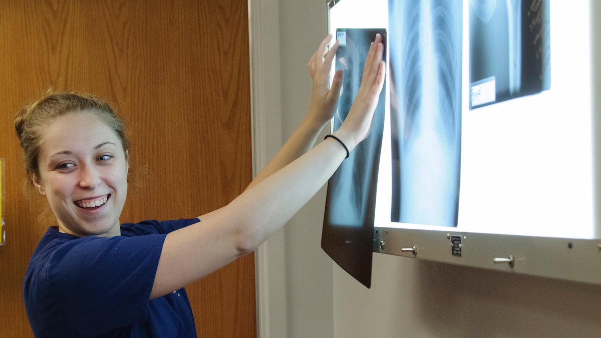 BSU Student placing xray image up on a backlit board