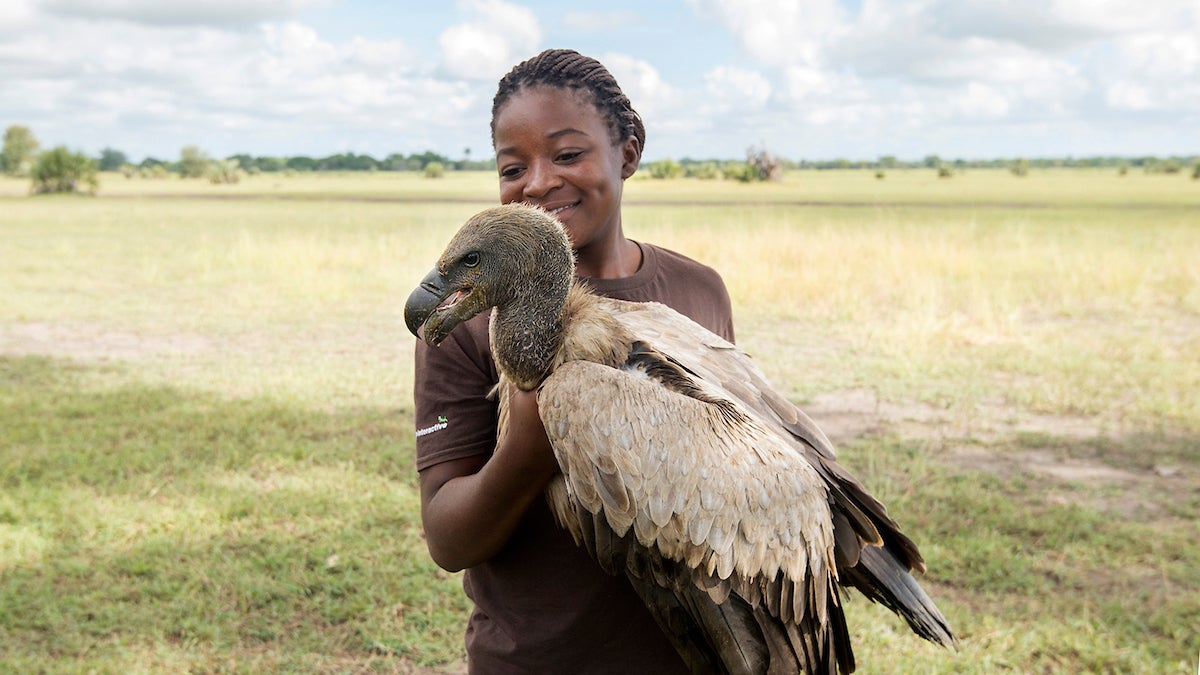 Lady holding a rare bird