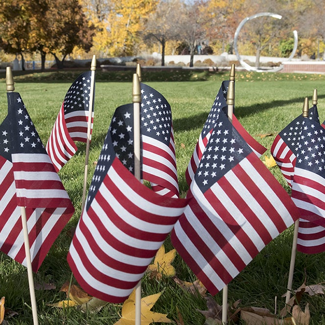 American flags on campus lawn