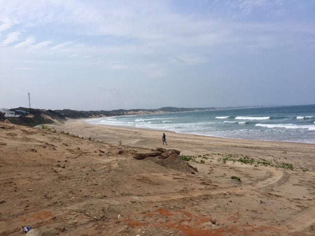 Beach landscape