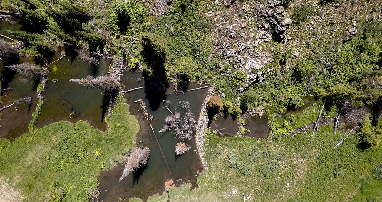 An aerial view of the fully restored site with a beaver dam and upstream pool.