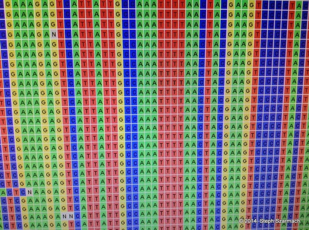 gene sequence chart