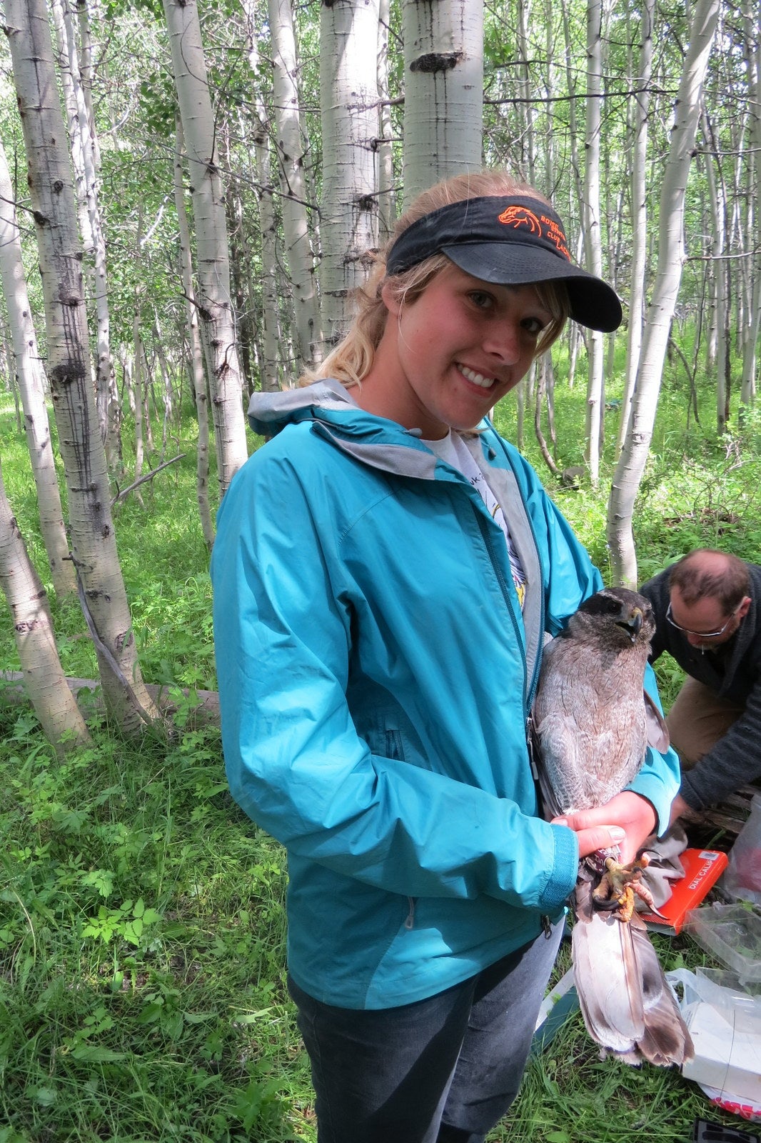 researcher holding goshawk