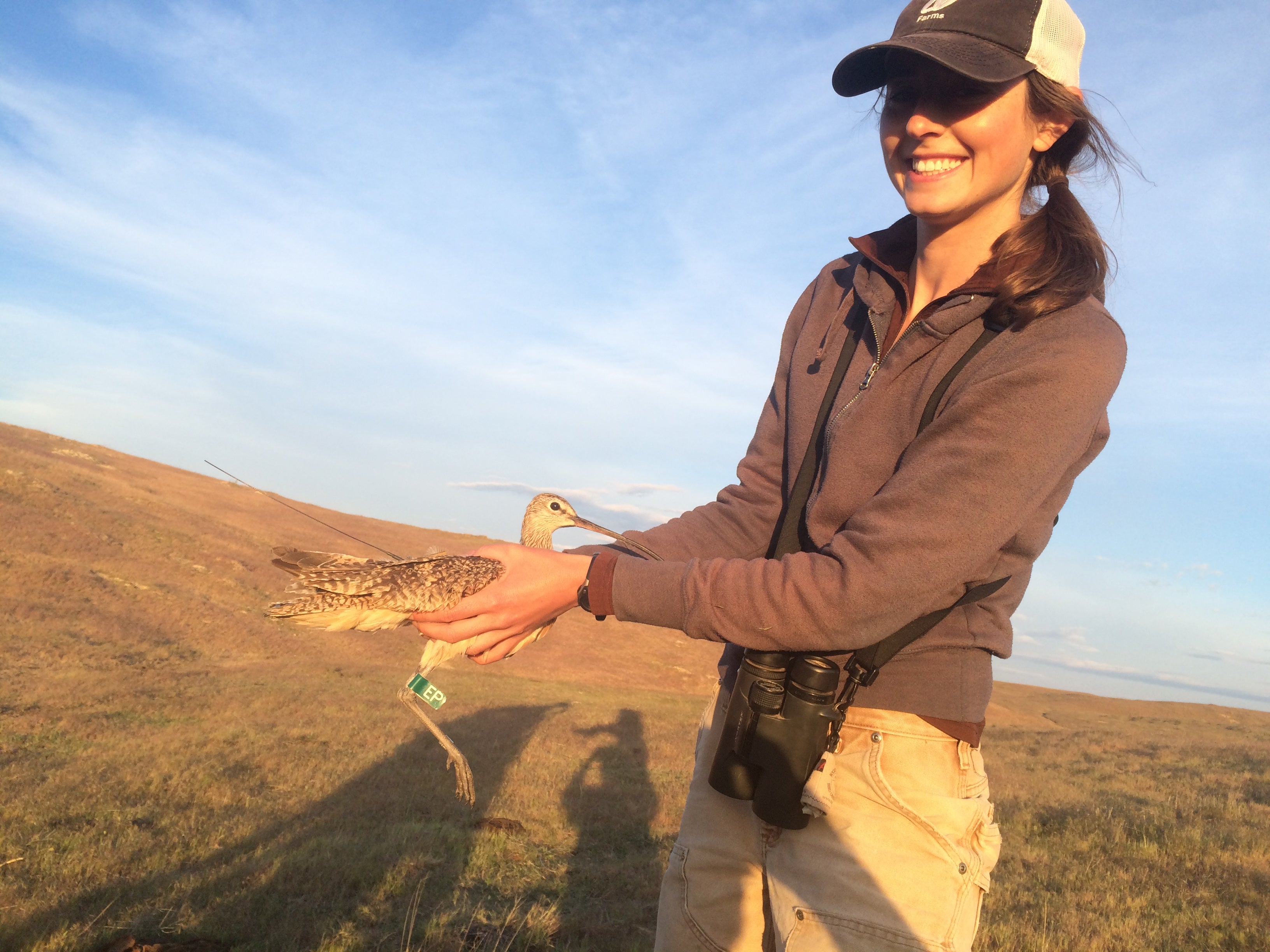 Staff profile image of Stephanie Coates holding a Long-billed Curlew