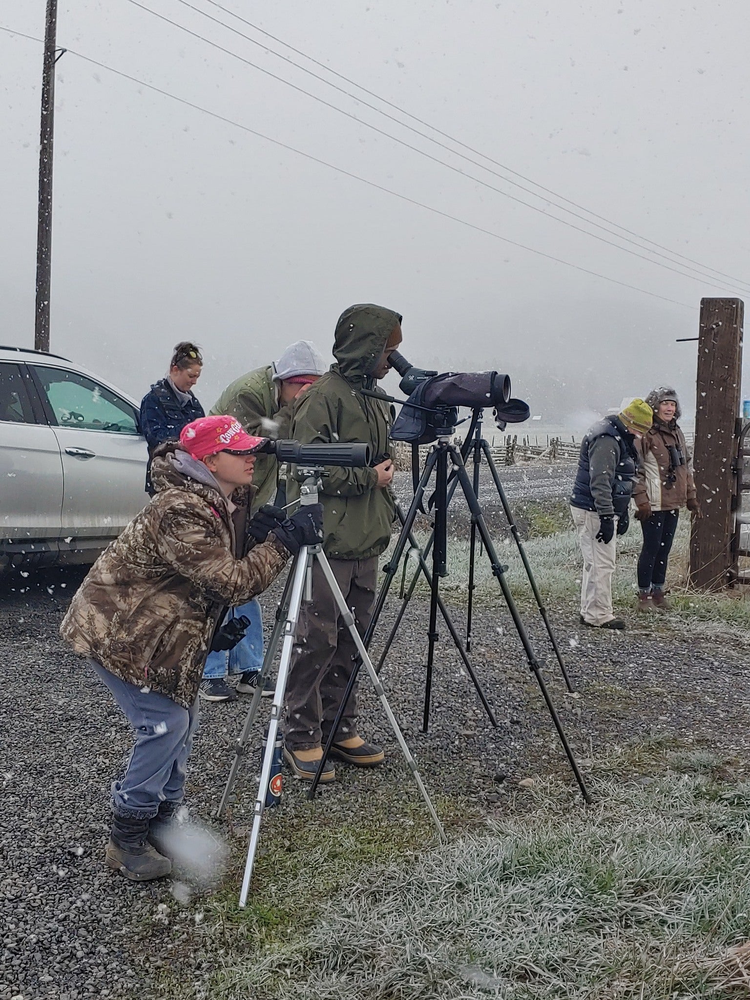 a group of adults stand bundled up in jackets and hats. snowflakes are falling as they look through spotting scopes toward curlews off camera