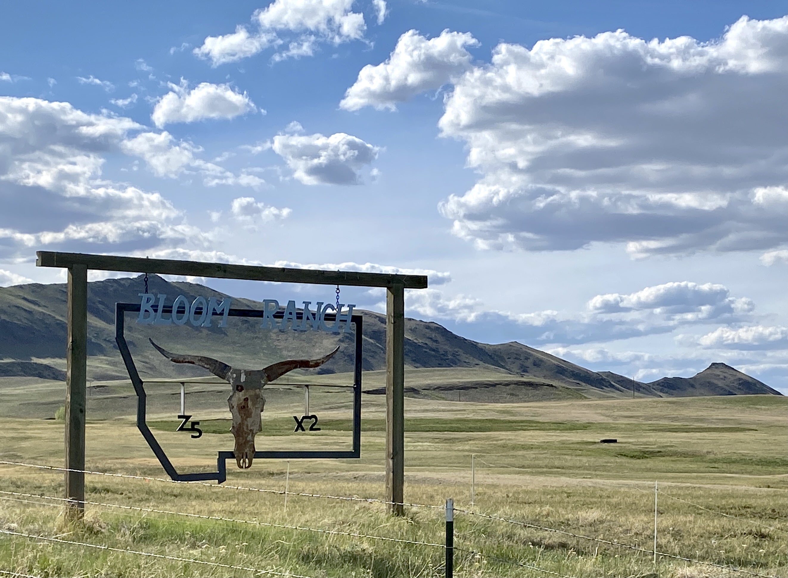 image shows a landscape view with expansive blue sky, rugged hills and grassland. In the foreground is a large metal sign shaped like a longhorn cattle skull and the outline of Montana. The sign says "Bloom Ranch"