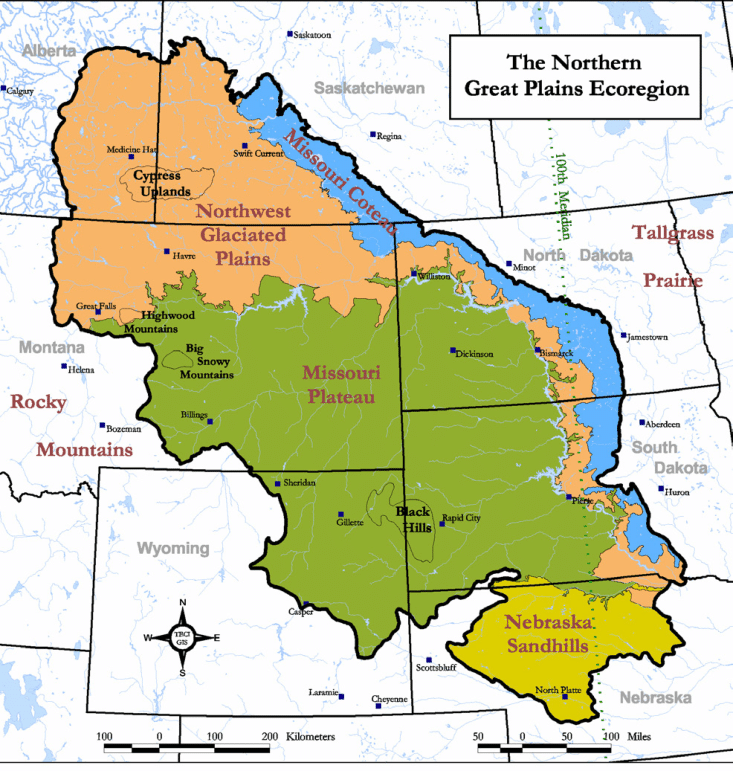 image shows map of the north central USA and Canada. An outline shows the great plains ecoregion which encompases southern Alberta and Saskatchewan, eastern montana, north eastern wyoming, northern nebraska, and the western two-thirds of the dakotas.