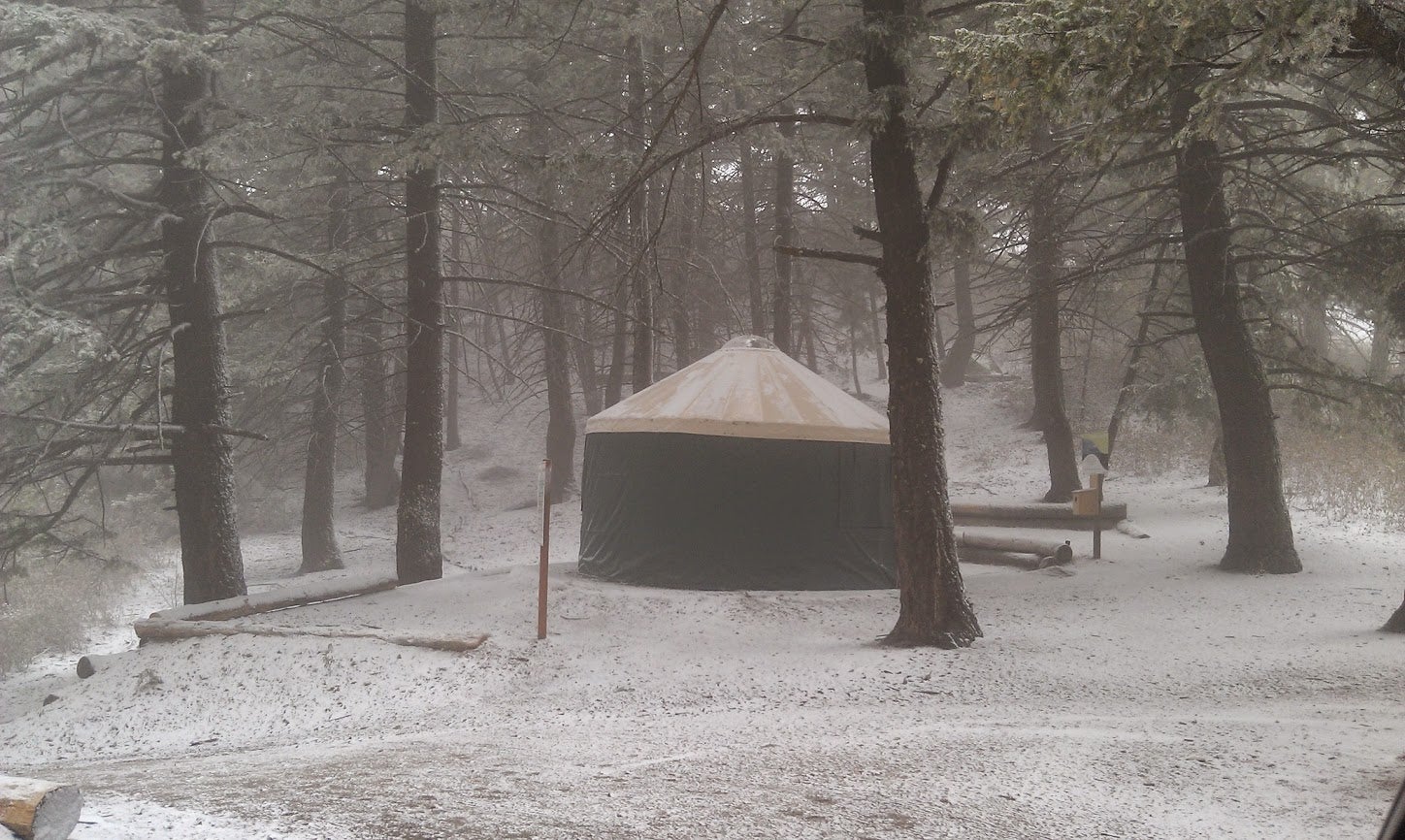 green yurt in the forest blanketed in a dusting of snow