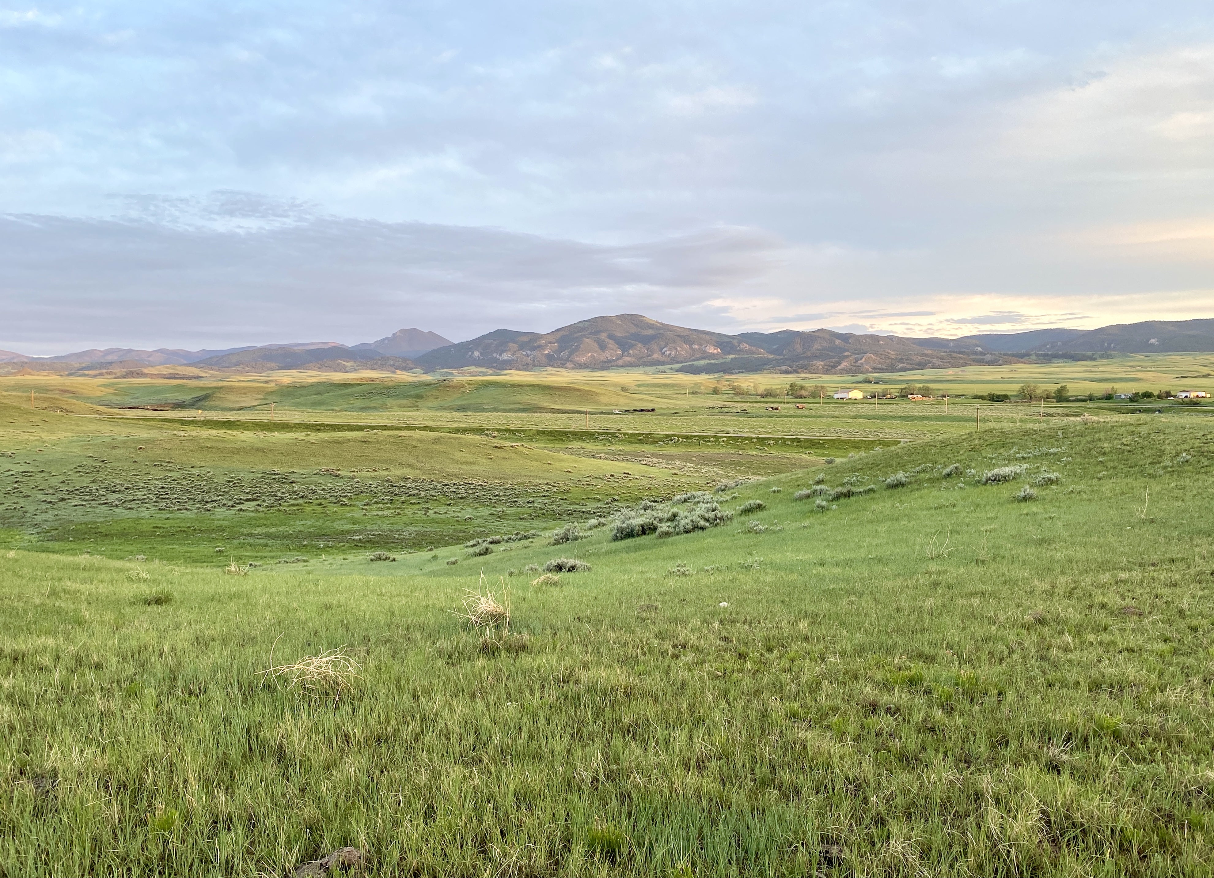 image shows an expansive view of lush grassy hills with sagebrush shrubs. Far in the distance are rolling mountains that are reflecting purplish pink in the morning light