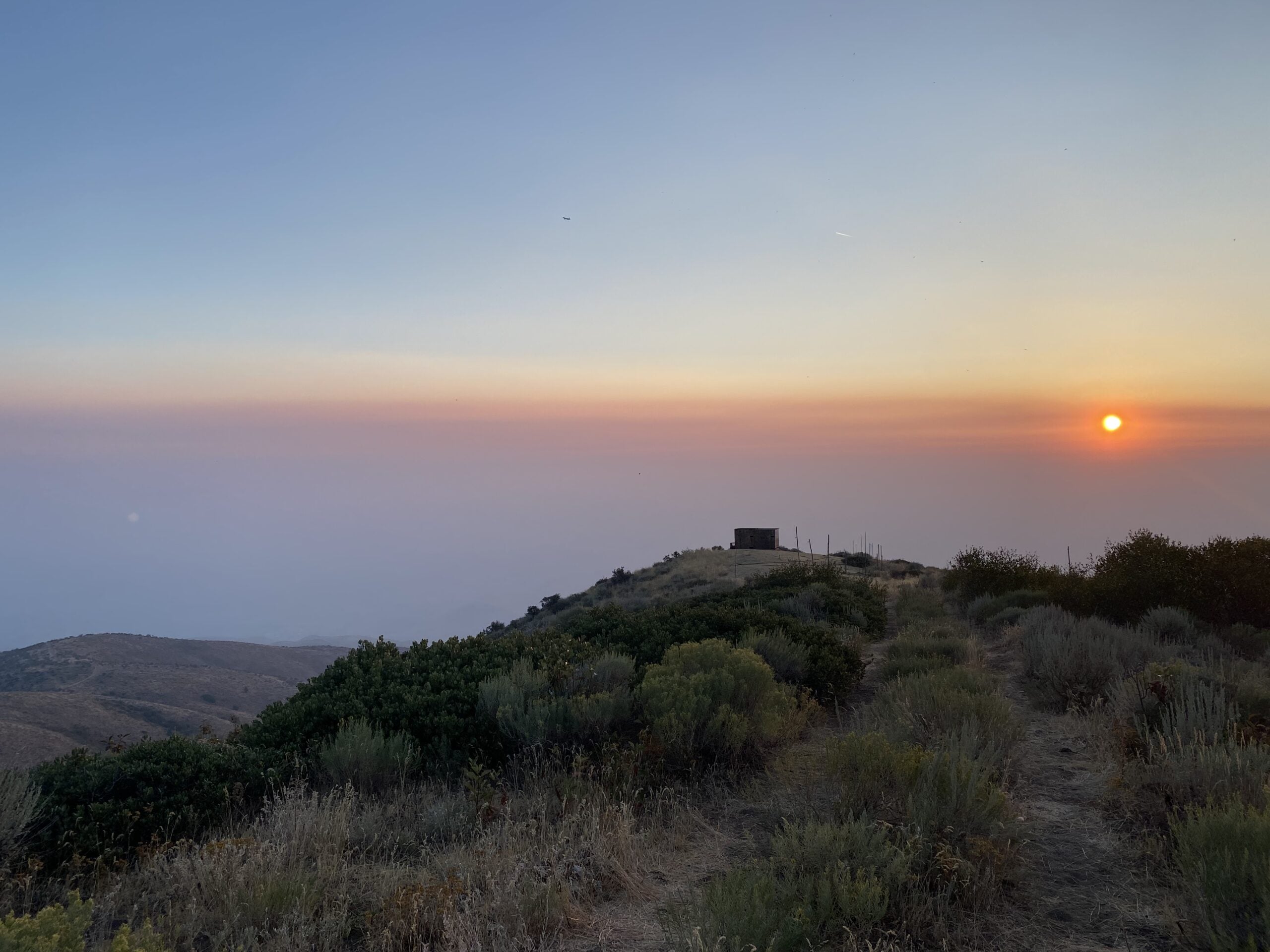 Thick buckbrush and sagebrush shrubs in the foreground line the path to the trapping blind. the blind is in the distance, appearing like a small brown box. The sunset is bright orange, tinged with wildfire smoke