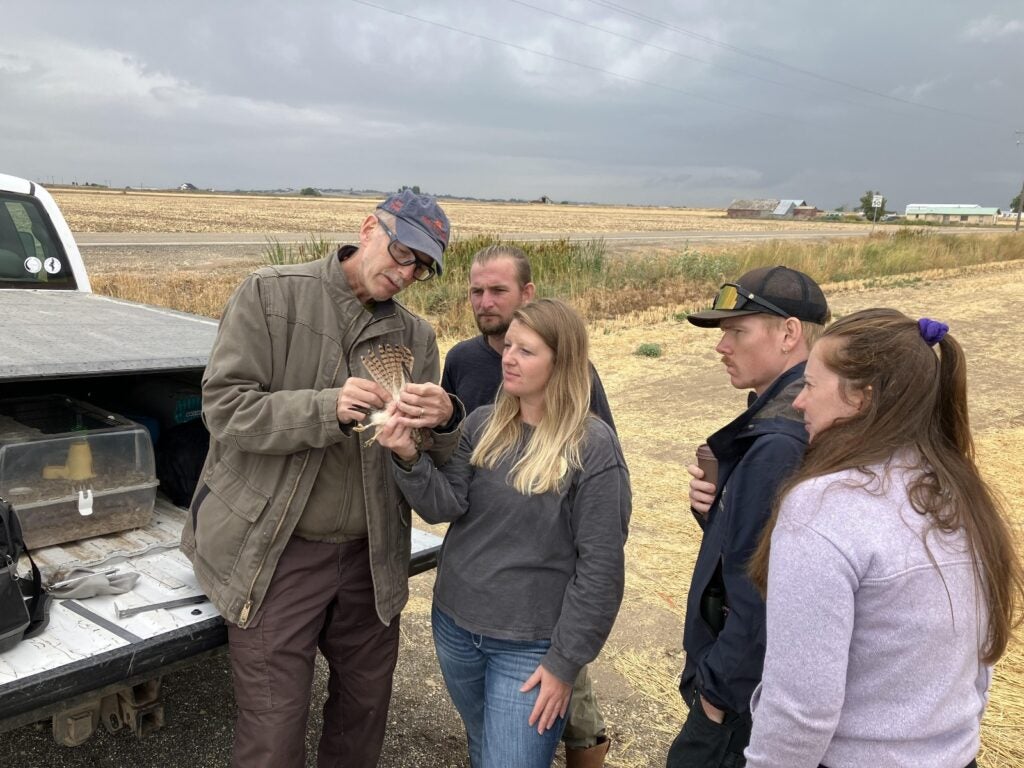 Rob stands on the left wearing his classic safety-glasses style field glasses and a canvas jacket. He's holding the tail of an american kestrel spread out to show her tail stripes. Rob is talking to four workshop participants who are watching intently. One of the workshop participants is holding the body and legs of the kestrel while Rob demonstrates.