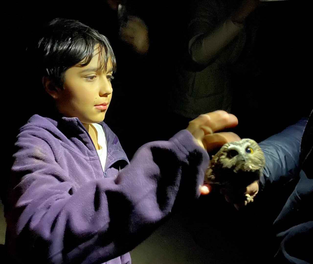 a student illuminated by flashlights reaches out a hand to carefully touch a small owl that is being held by a biologist