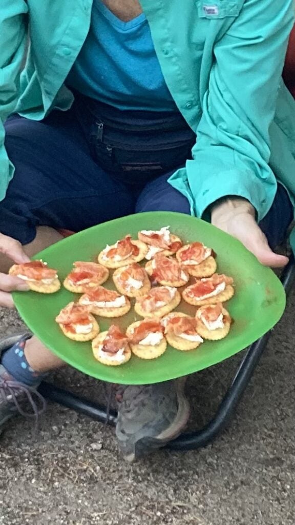 a bright green plate filled with crackers that are topped with bright red salmon and cream cheese. A sprinkle of paprika tops each one.