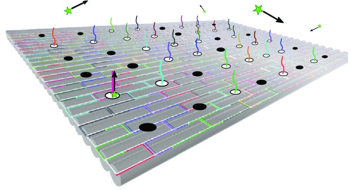 Nucleic Acid Memory (NAM)