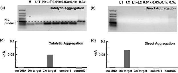 The image demonstrates the results of DNA sensing experiments using two different methods of gold nanoparticle aggregation: catalytic aggregation (CA) and direct aggregation (DA).