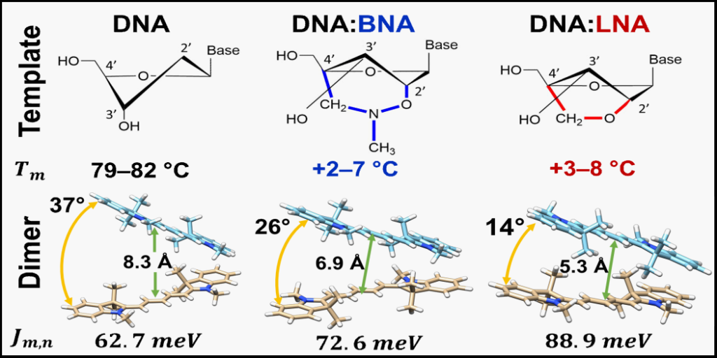 DNA-LNA Table of Contents Image