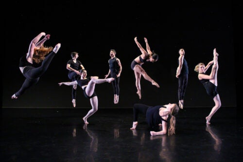 Image of Idaho Dance Theatre