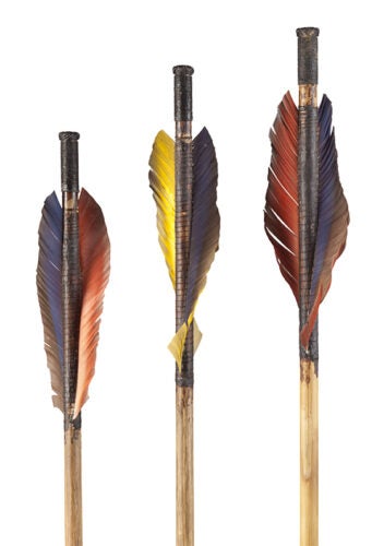 Arrows with feathers
