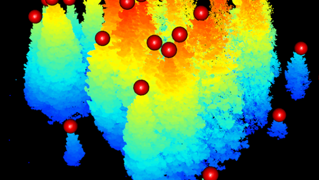 Graphics of trees colored like rainbows, dark blue at their bases and orange/red at the tops