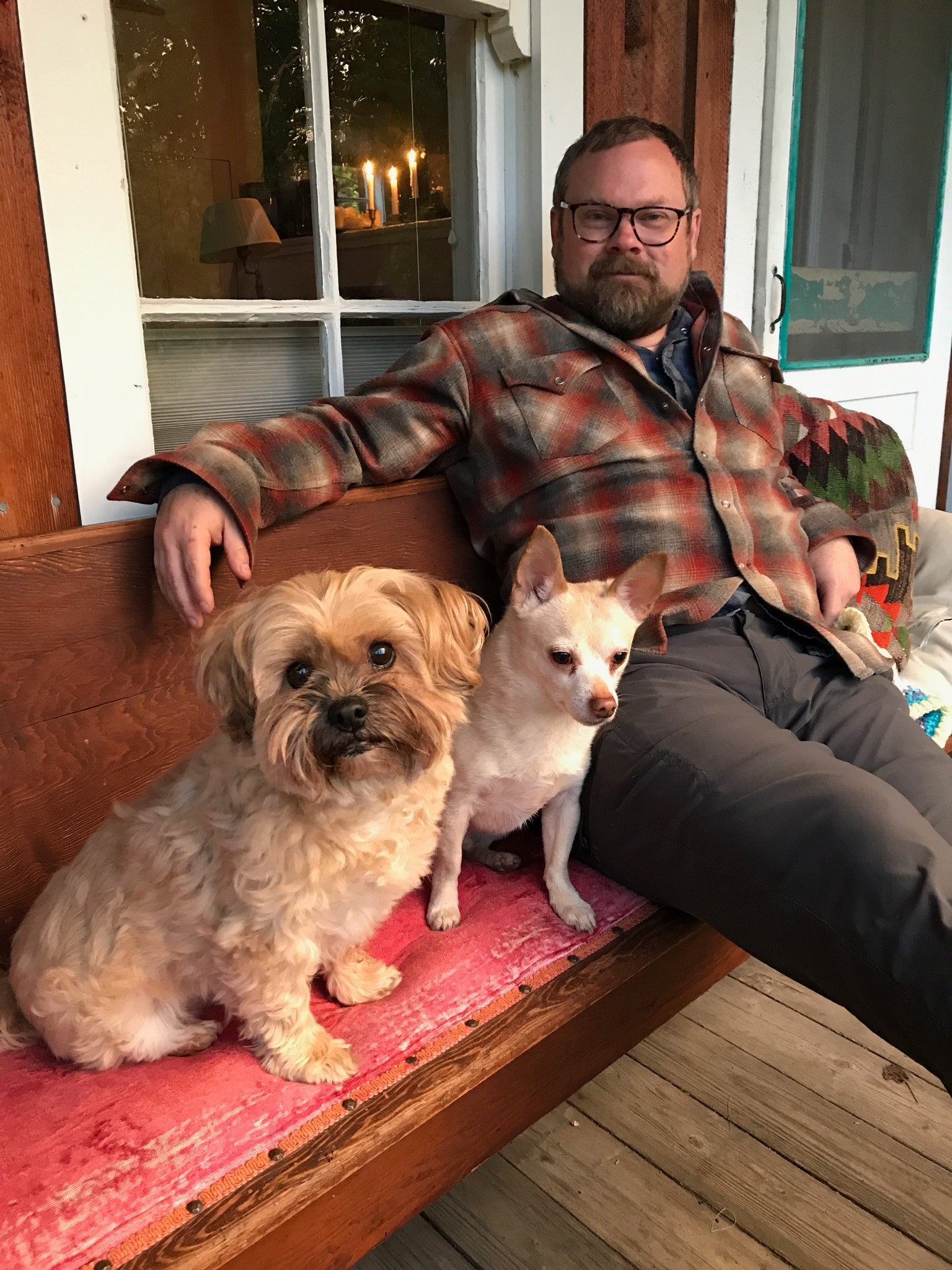 Man sits on bench with two dogs
