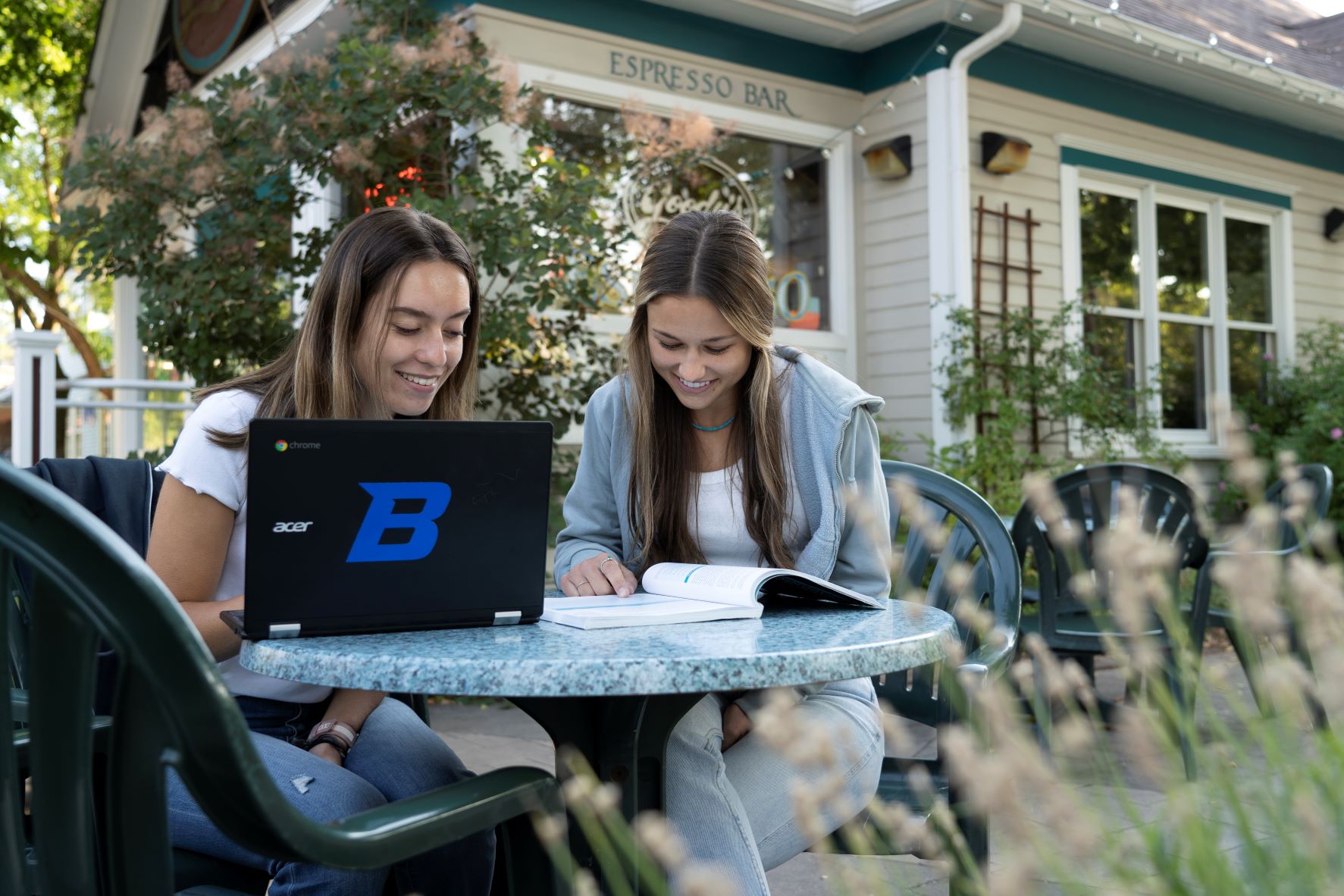 Students studying outside