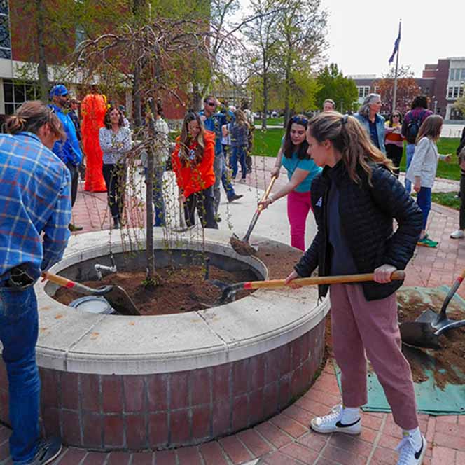 Students digging in a planter in the Quad