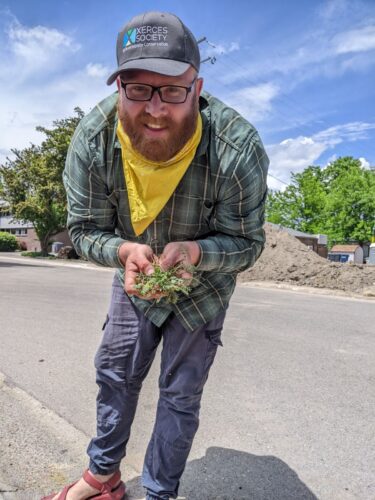 Man standing near a road holds a small green weed