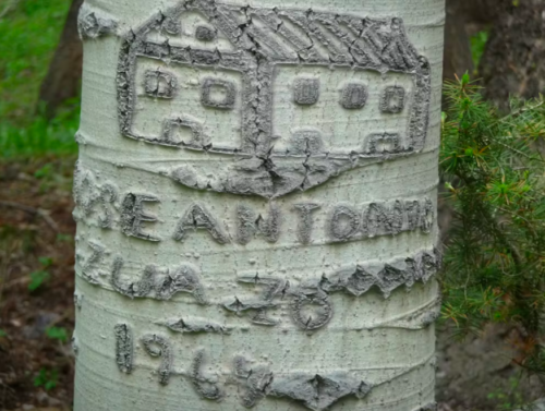 an aspen arborglyph of a building, with Basque writing and the year 1967