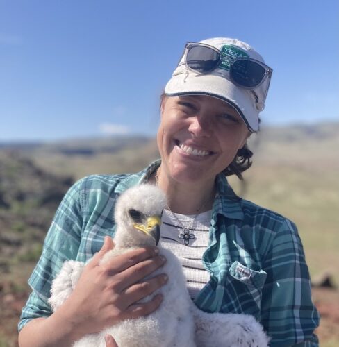 a person holds a young bird